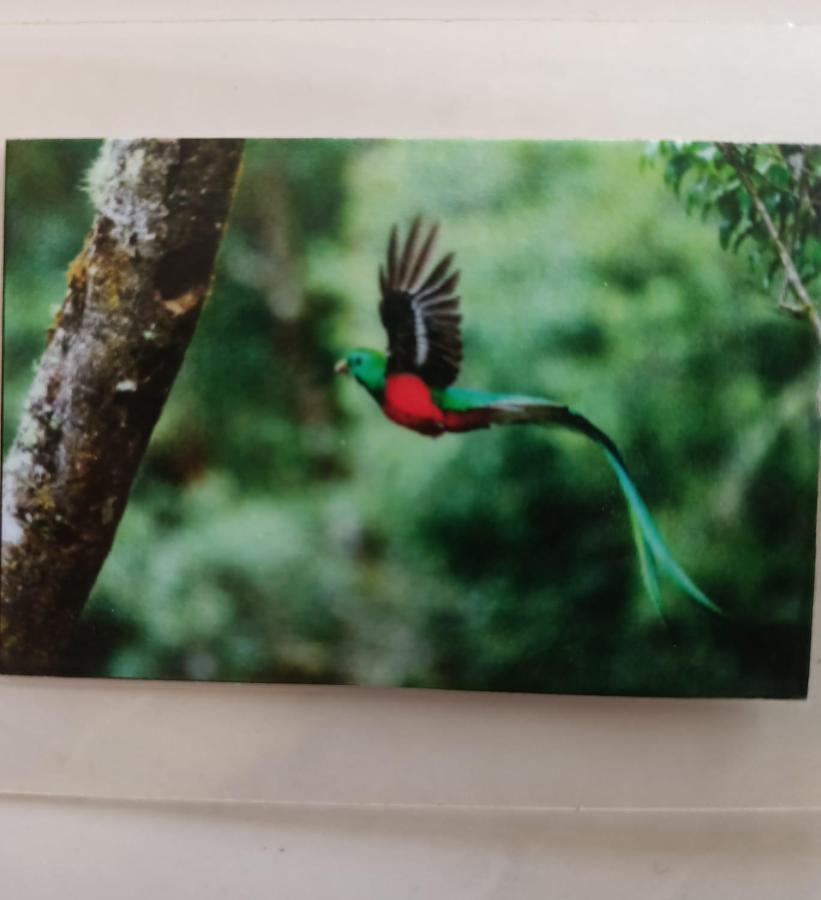 Quetzal Apartment ปลายาเดลการ์เมน ภายนอก รูปภาพ